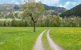 Property In Kirchbichl